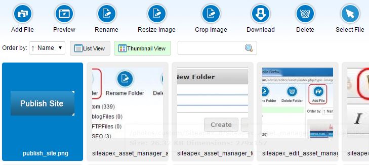 Asset Manager File Options