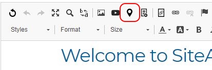 Google Maps Embed Editor Icon